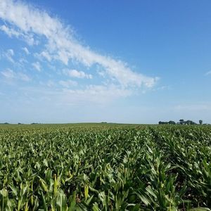 Meet your Posher, Derek